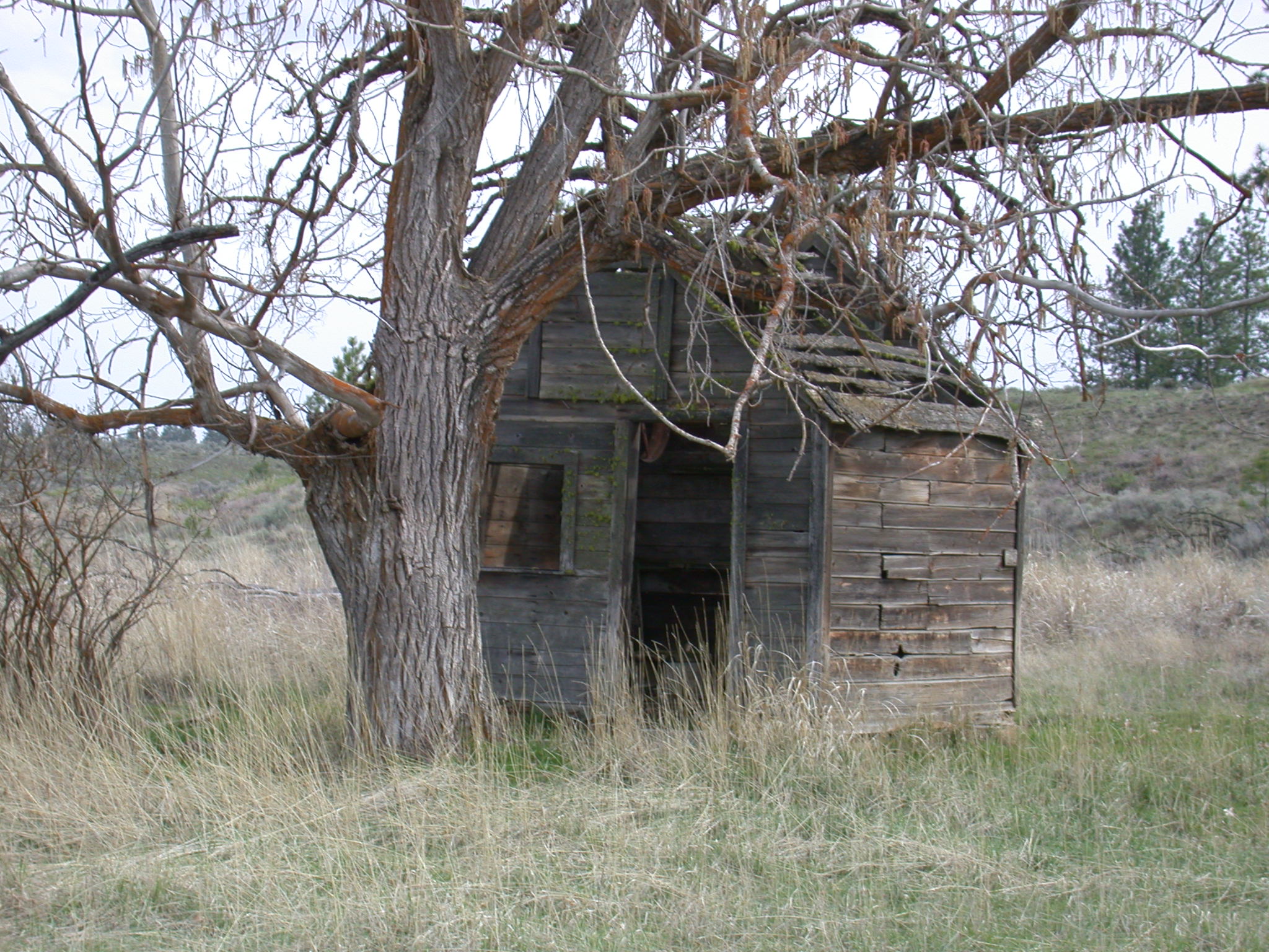 Telford North Homestead